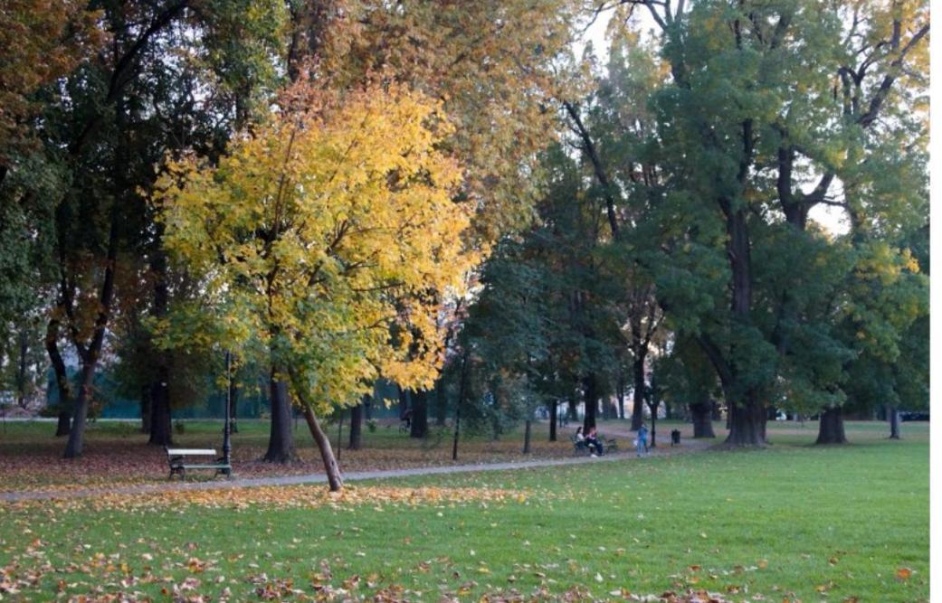 Weisz Apartment-City Center-Free Private Parking,Wifi,Ac Карей Екстериор снимка