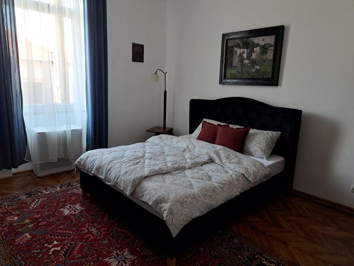 Weisz Apartment-City Center-Free Private Parking,Wifi,Ac Карей Екстериор снимка